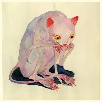 paws - AI artwork, 28 Jul 2025
