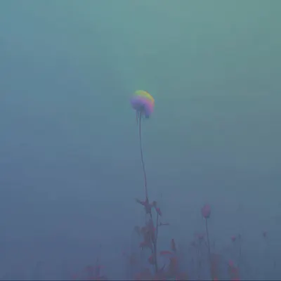 breath - AI artwork, 11 Jul 2025