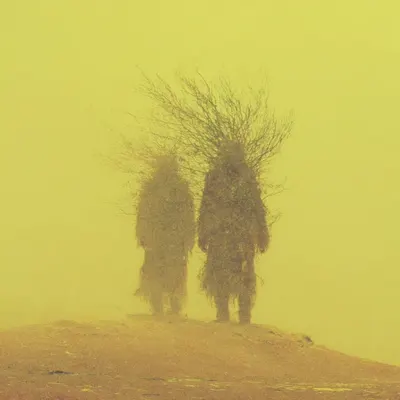 We walk like gods, heads lifted high, forgetting that our feet are still buried in the soil of the Mother who holds us - AI artwork, 6 Nov 2025