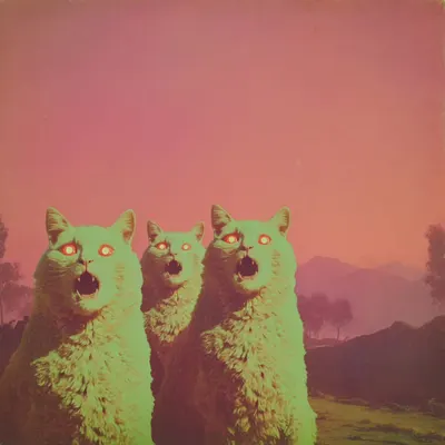 kittens on the weekend :O - AI artwork, 28 Jun 2026
