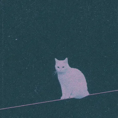 Space cats Btw I really like this song - AI artwork, 5 Jul 2026