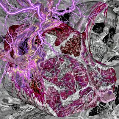 digitalism organic - AI artwork, 27 Jul 2026