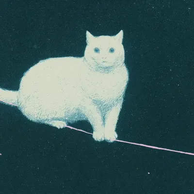 Space cats Btw I really like this song - AI artwork, 5 Jul 2026